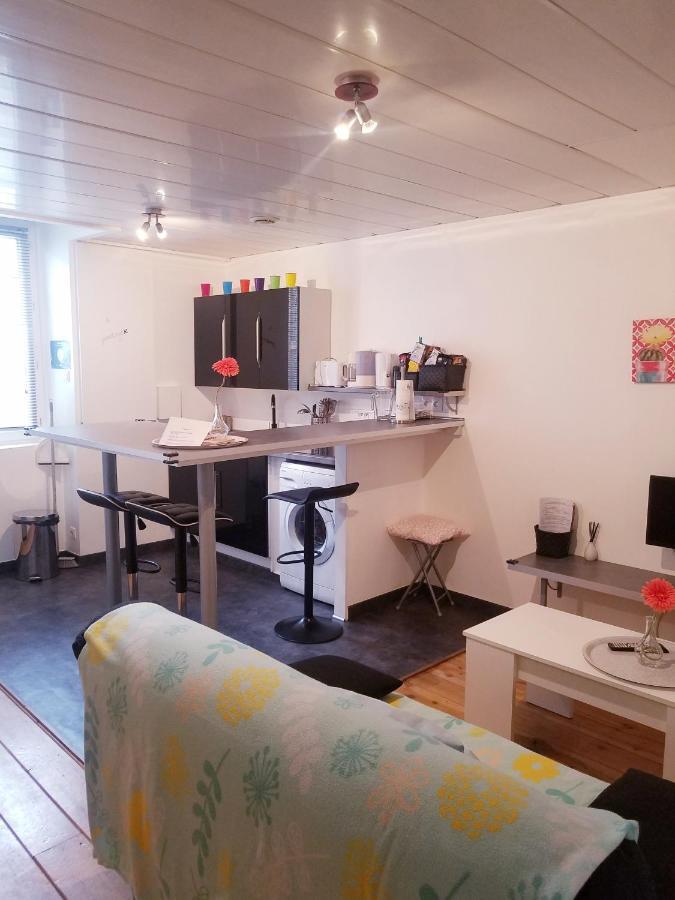 Copropriete Les Iris Apartment Сент Етиен Екстериор снимка